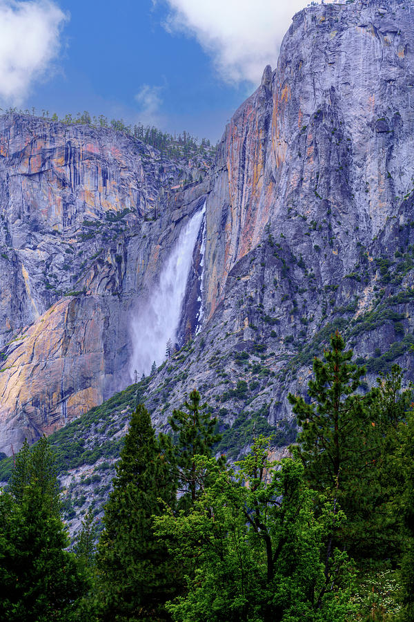 Yosemite Falls in Spring 2 Photograph by Lindsay Thomson
