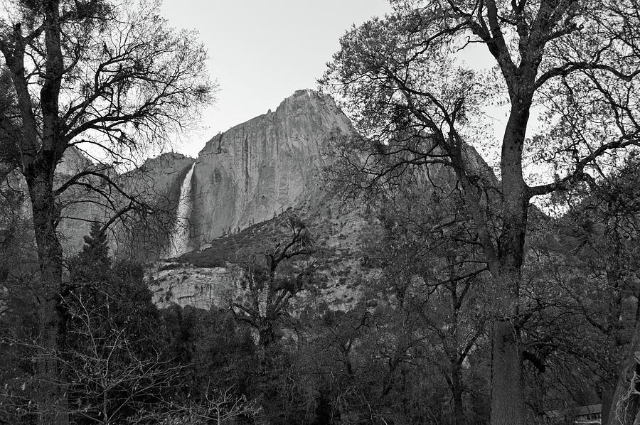 Yosemite Falls In The Distance Photograph by Eric Forster