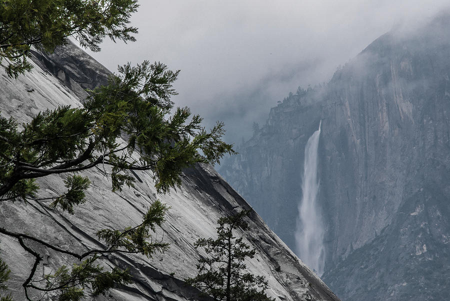 Yosemite Falls In The Mist Photograph