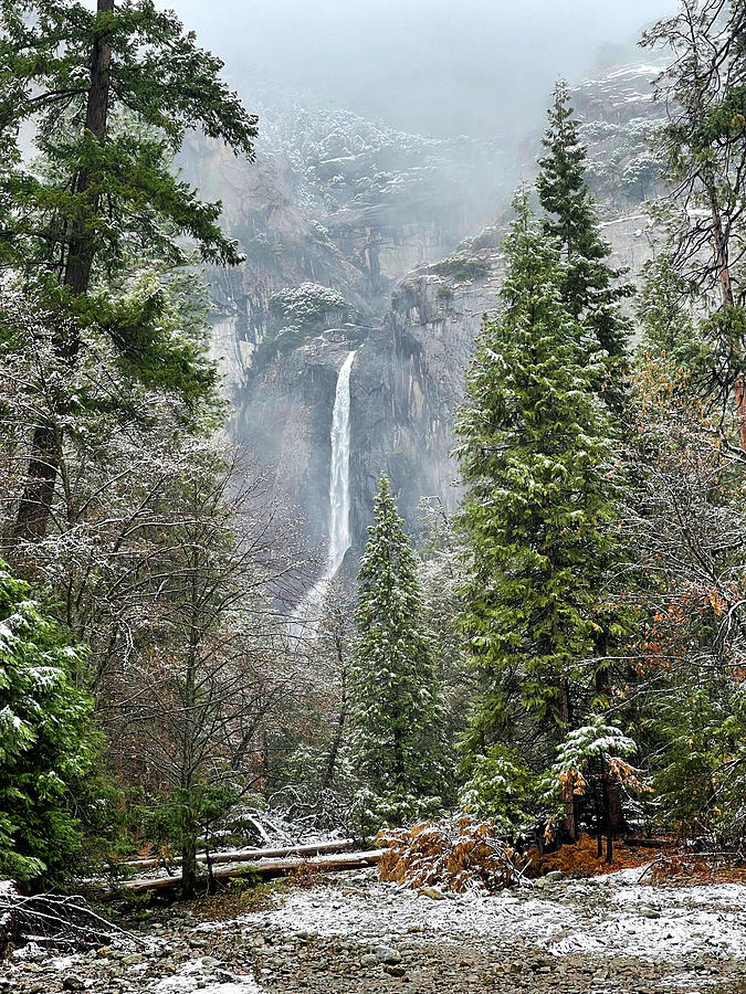 Yosemite Falls in Winter II Photograph by Cheryl Strahl