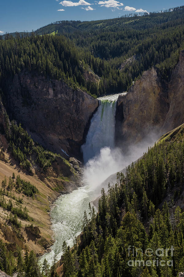 Yellowstone Falls Photograph by Suzanne Luft