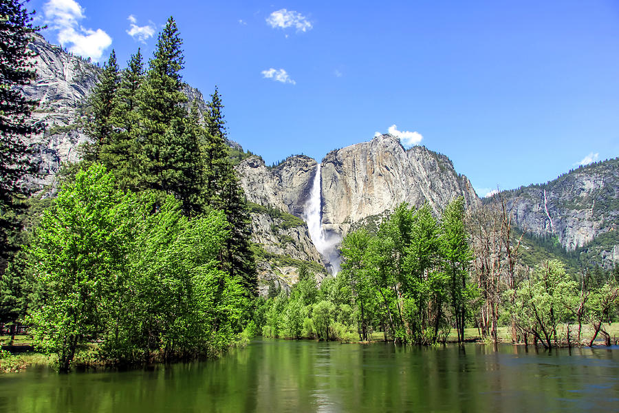 Yosemite Falls Valley Photograph by Dawn Richards