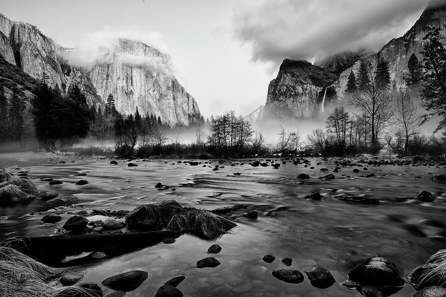 Yosemite Fog Photograph by Jon Glaser