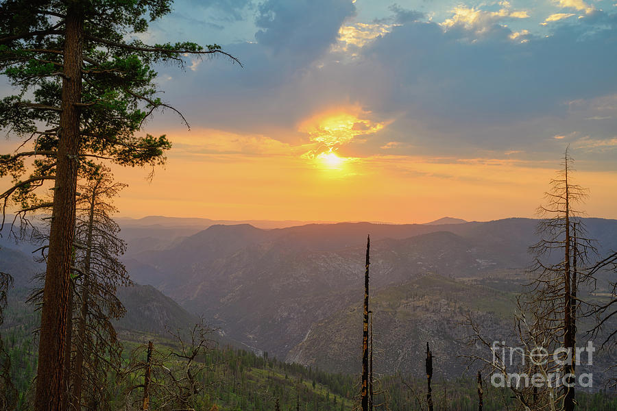 Yosemite Golden Sunset  Photograph by Abigail Diane Photography