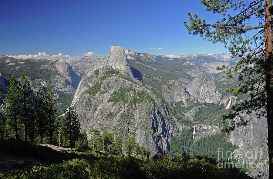 Yosemite half dome Photograph by Cindy Murphy
