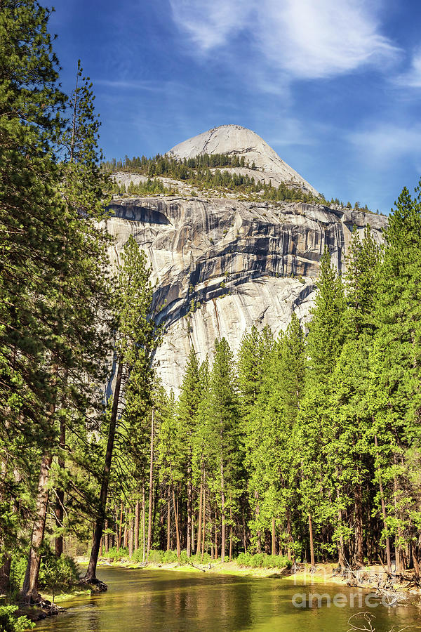 Yosemite half dome on a bright, sunny day. The river and a pine forest can be seen in the foreground with a clear blue sky behind. Yosemite National Park Photograph by Jane Rix