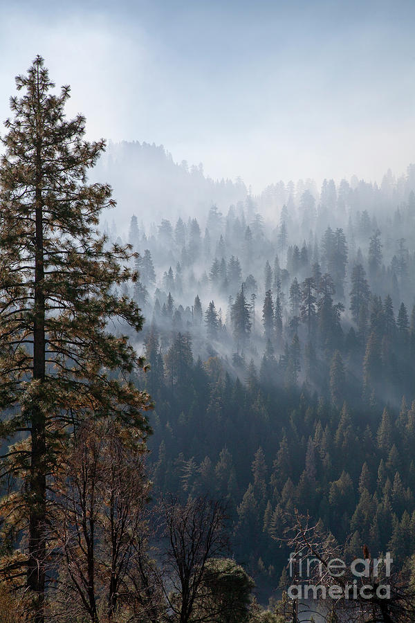 Yosemite Haze Photograph by Timothy Johnson