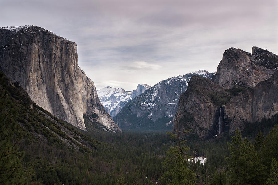 Yosemite Icon Photograph by James Daniels | Fine Art America