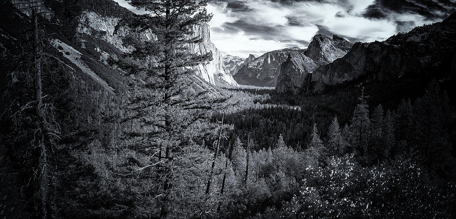 Yosemite in Black and White Photograph by James Bethanis