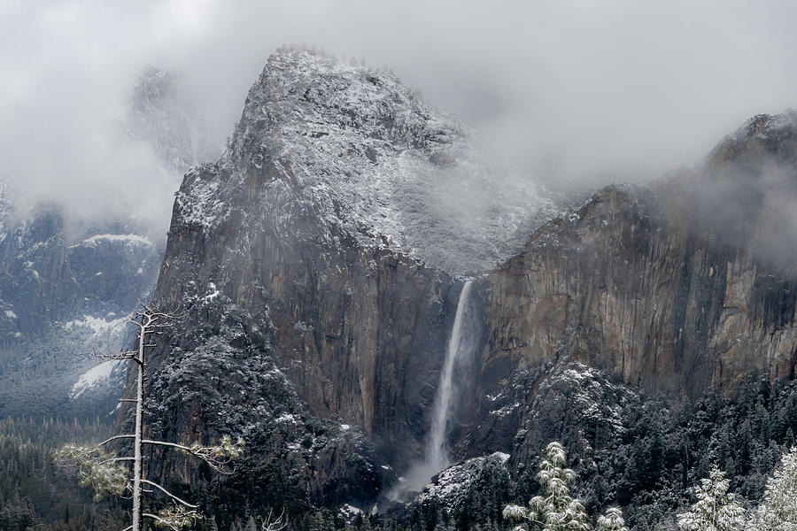Yosemite in Fog Photograph by Norma Brandsberg
