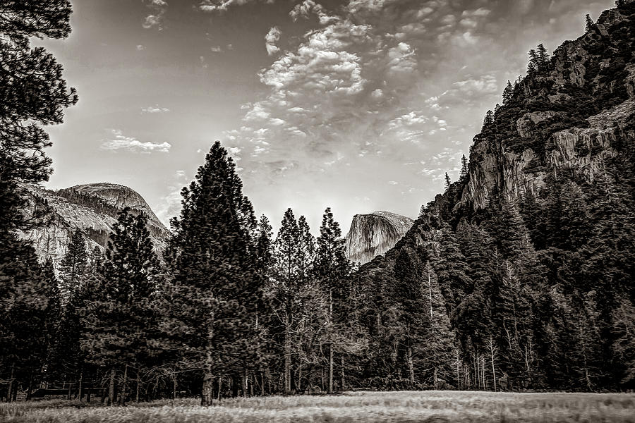 Yosemite Landscape Looking At Half Dome - Sepia Photograph