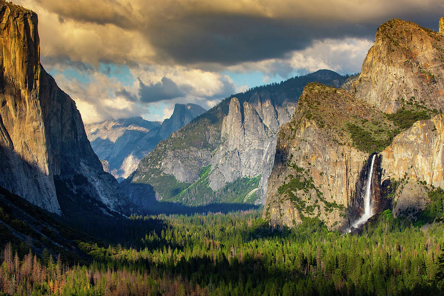 Yosemite Life Photograph By Stacy Leclair 