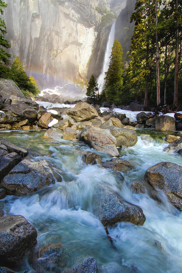 Yosemite Lower Falls Photograph by Norma Brandsberg