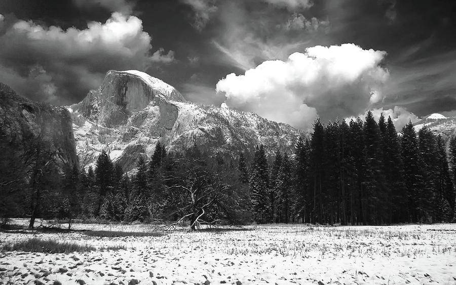 YOSEMITE MEADOW A WINTER SCENE Black and white Photograph by Walter Fahmy