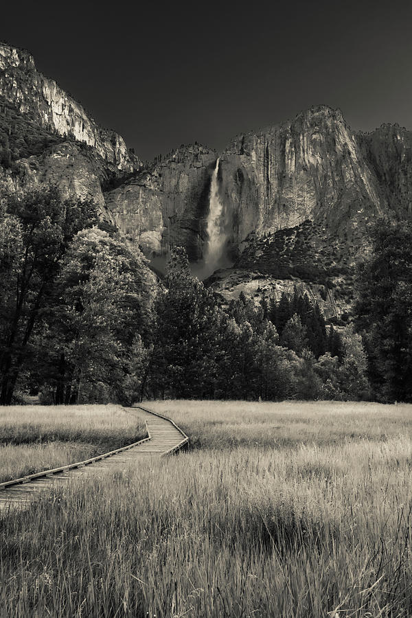 Yosemite Meadow Photograph by Kelly VanDellen