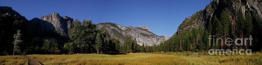 Yosemite Meadows Photograph by Tony Lee