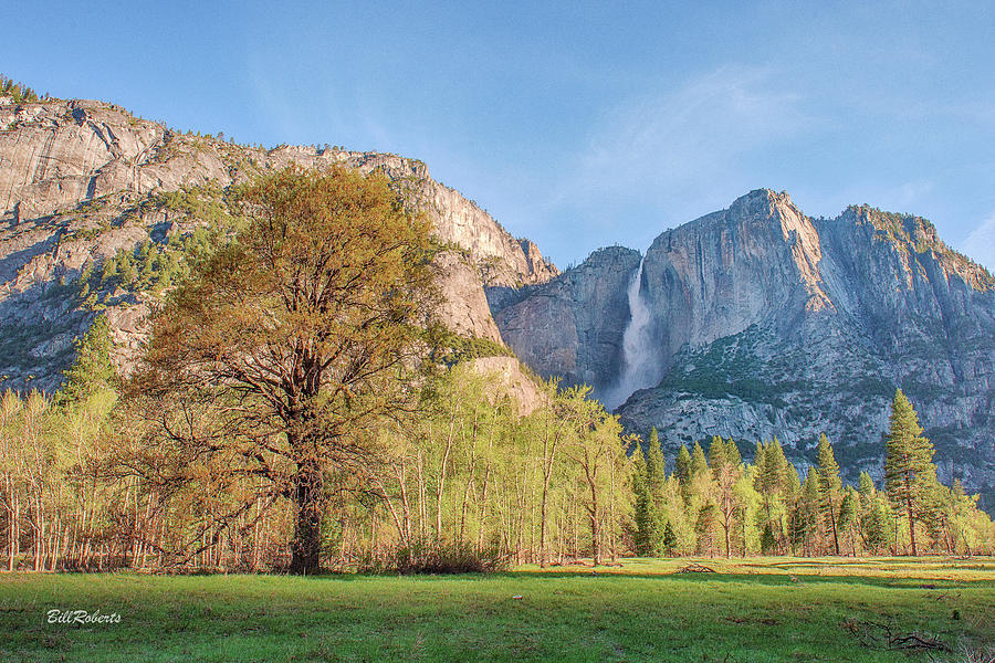 Yosemite Morning Photograph by Bill Roberts