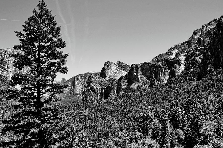 Yosemite National Park Black and White Photograph by Judy Vincent