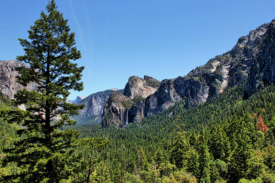 Yosemite National Park 1 Photograph by Judy Vincent