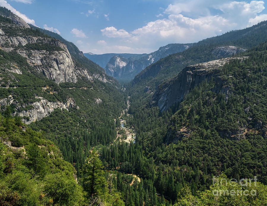 Yosemite National Park Wilderness, Calfornia Photograph by Abigail Diane Photography
