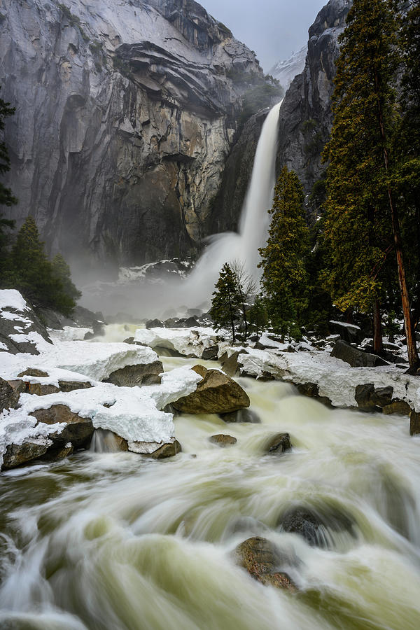 Yosemite Overwhelmed Photograph by Kelly VanDellen