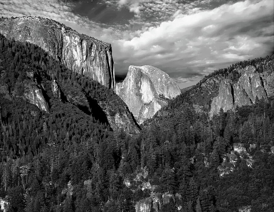 Yosemite Photograph by Peter Sylvester Yosemite Photograph by Peter Sylvester