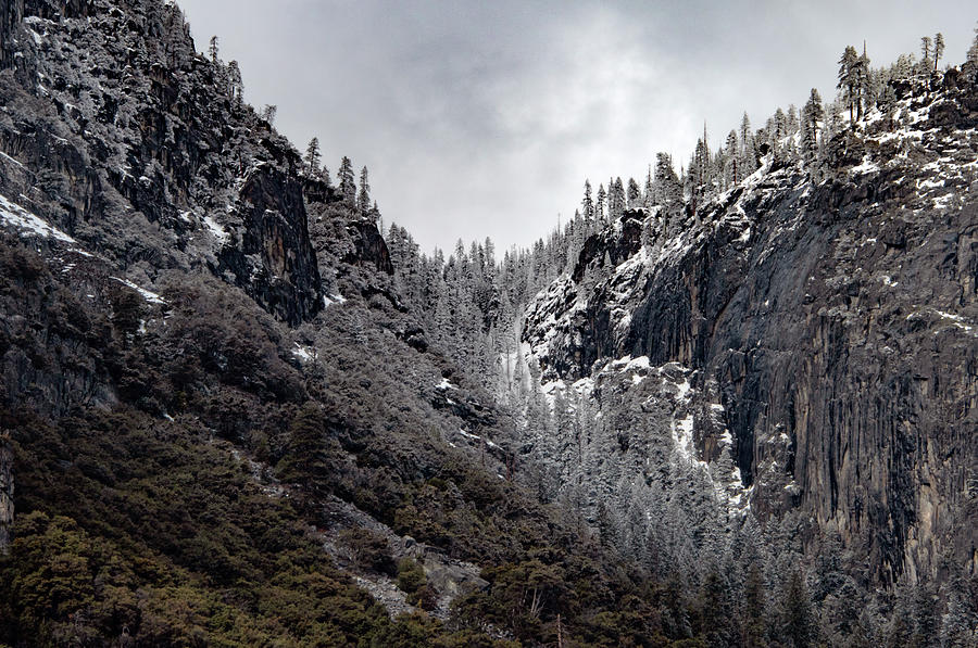 Yosemite Ridge Line in Snow Photograph by Norma Brandsberg