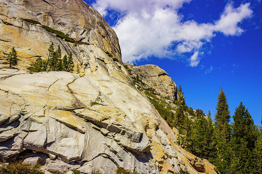 Yosemite Rock Face Photograph by David Fountain