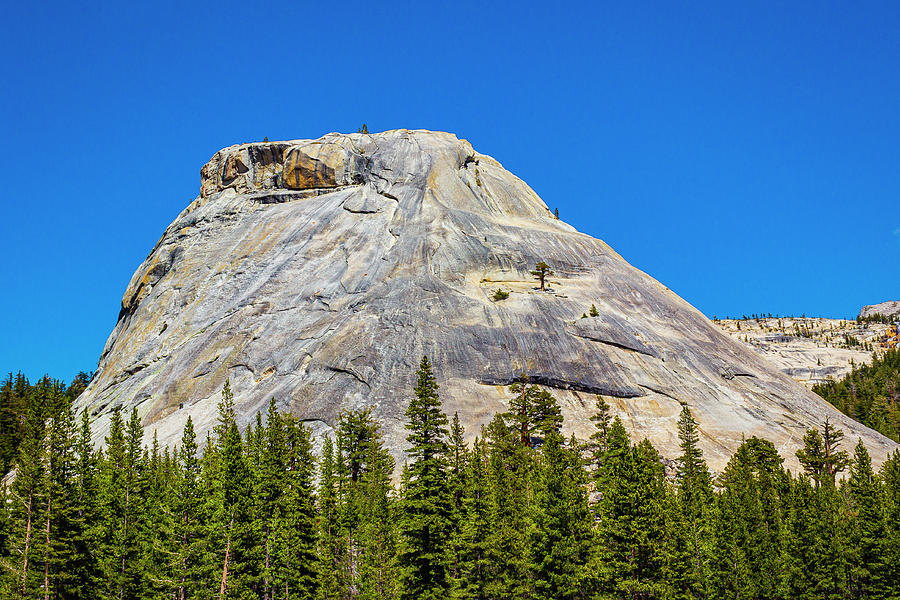 Yosemite Rocks Photograph by David Fountain