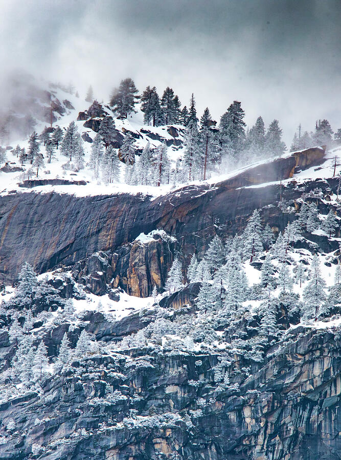Yosemite Snow Textures Photograph by Norma Brandsberg