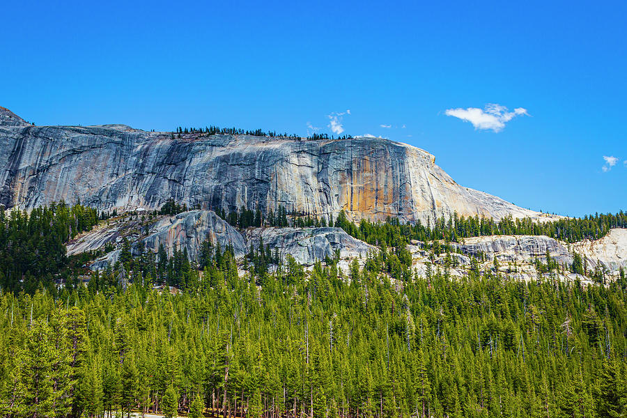Yosemite Splendor Photograph by David Fountain