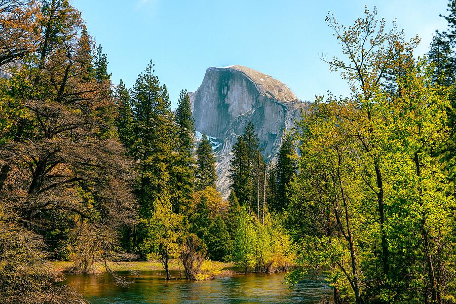 Yosemite Springtime Photograph by Robert Blandy Jr