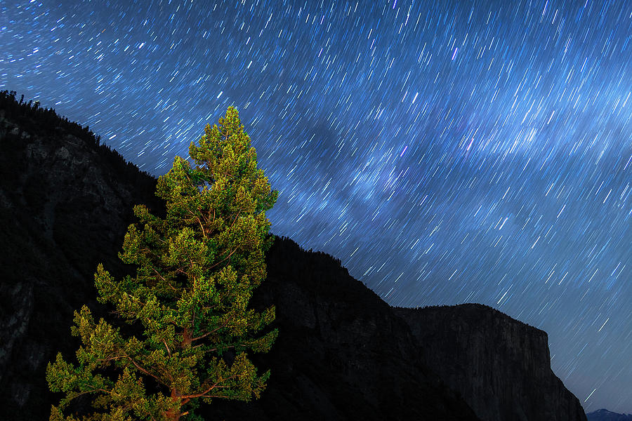 Yosemite Star Trails Photograph by Andrew Soundarajan