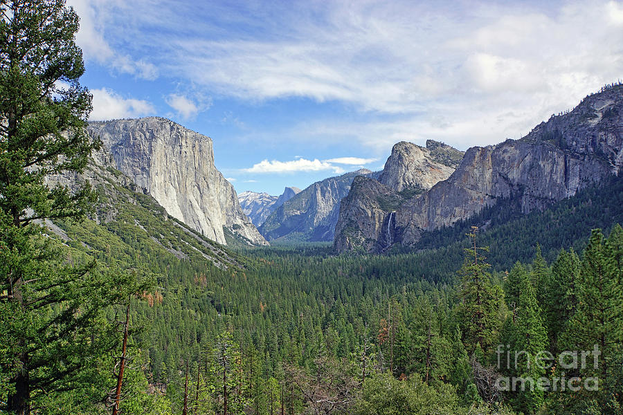 Yosemite Tunnel View Photograph by Tom Watkins PVminer pixs