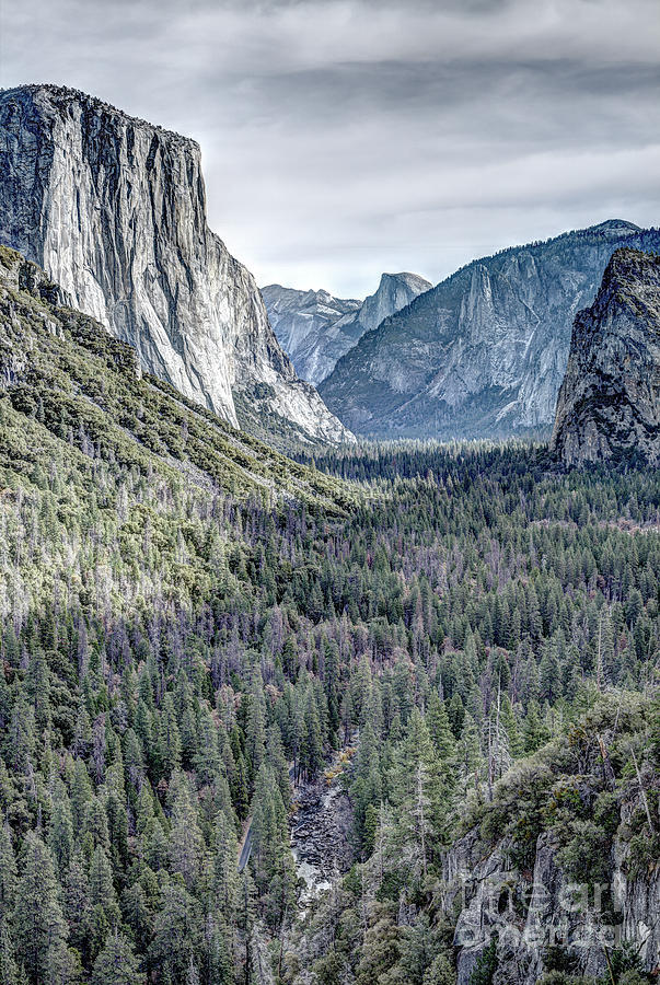 Yosemite Valley With El Capitan And Half Dome From Tunnel View Photograph