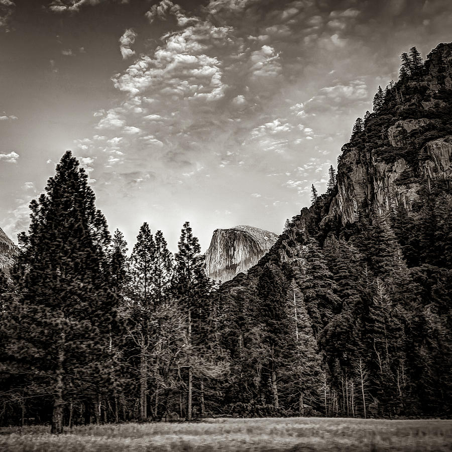 Yosemite Valley And Half Dome Peak - Sepia Photograph by Gregory Ballos