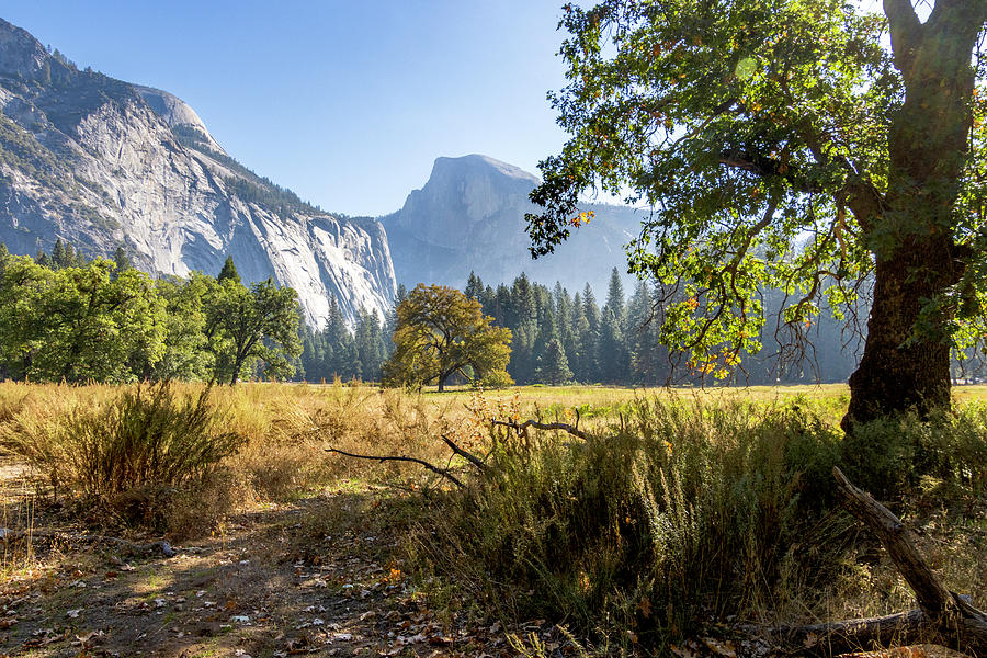 Yosemite National Park Photograph - Yosemite Valley Autumn View Of Half Dome by Her Arts Desire