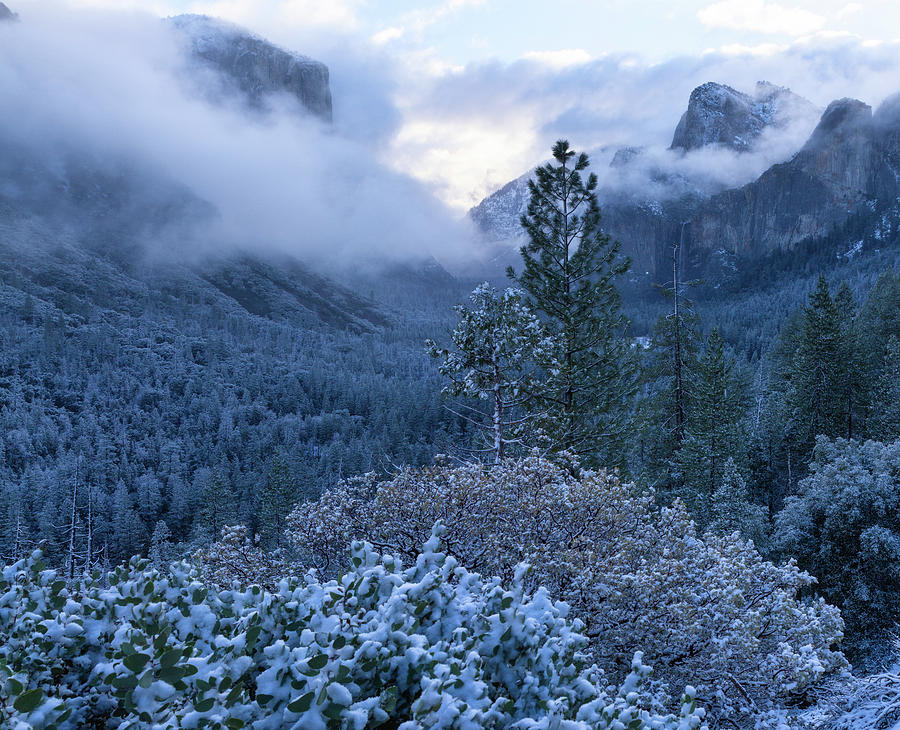 Yosemite valley covered in snow Photograph by James Brown Pixels