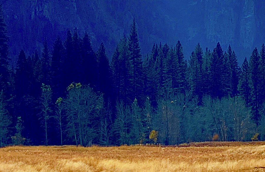 Yosemite Valley Eastside Photograph