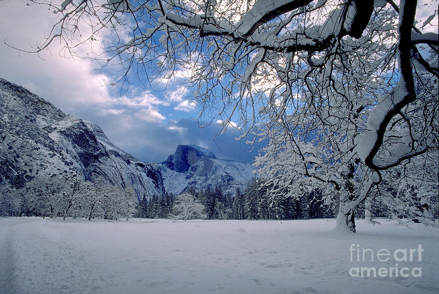 Yosemite Valley Floor in the Winter Photograph by Wernher Krutein