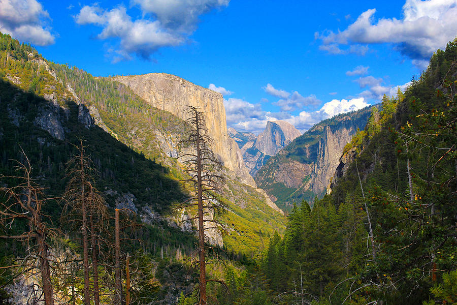 Yosemite Valley Photograph by Jason Judd