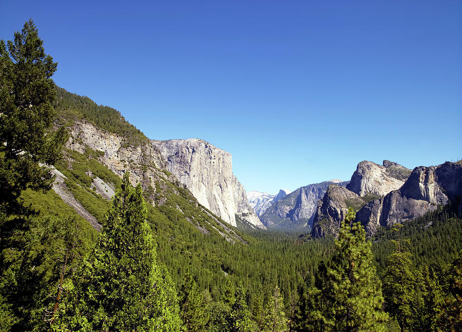 Yosemite National Park Painting - Yosemite Valley by Mango Art