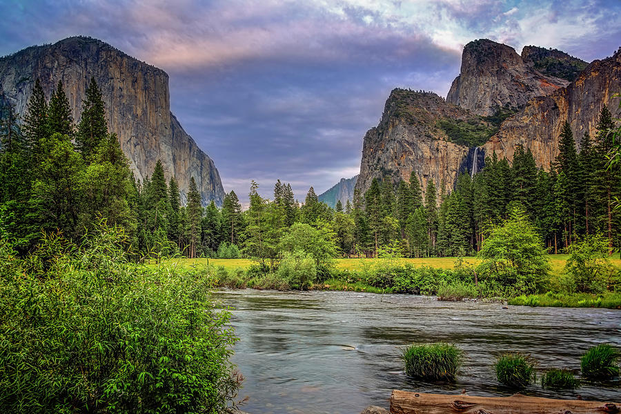 Yosemite Valley Photograph by Maria Coulson
