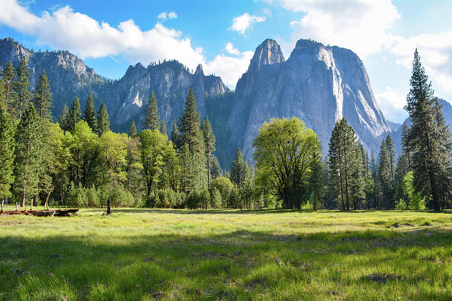 Yosemite Valley Meadow Photograph by Kyle Hanson