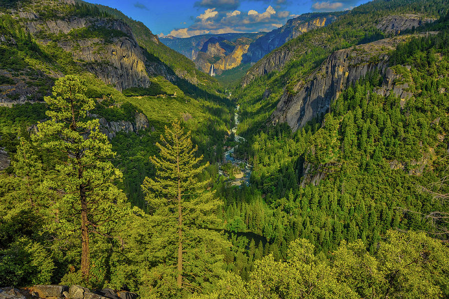 Yosemite Valley Yosemite National Park Photograph by James C Richardson
