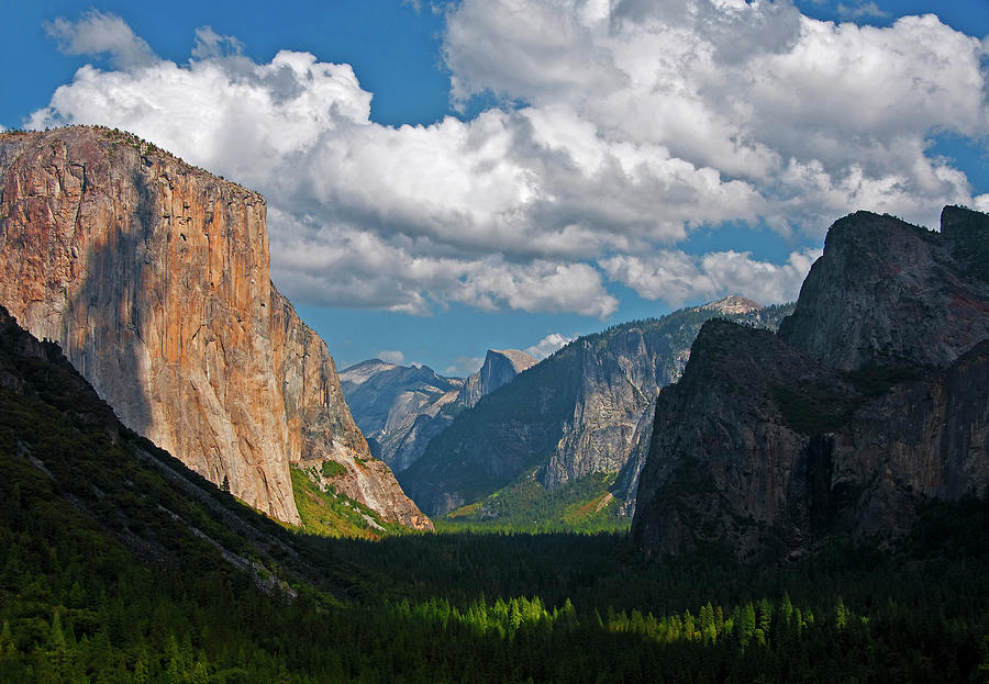 Yosemite View Photograph by Dennis Cox Photo Explorer
