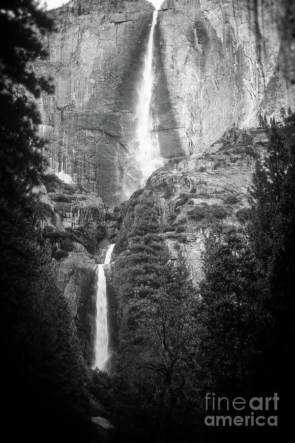 Yosemite -  View Two - Black And White Digital Art by Anthony Ellis