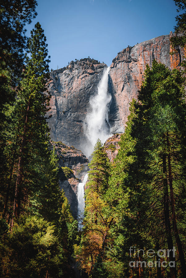 Yosemite Waterfall Photograph by Walfred Espitia - Fine Art America