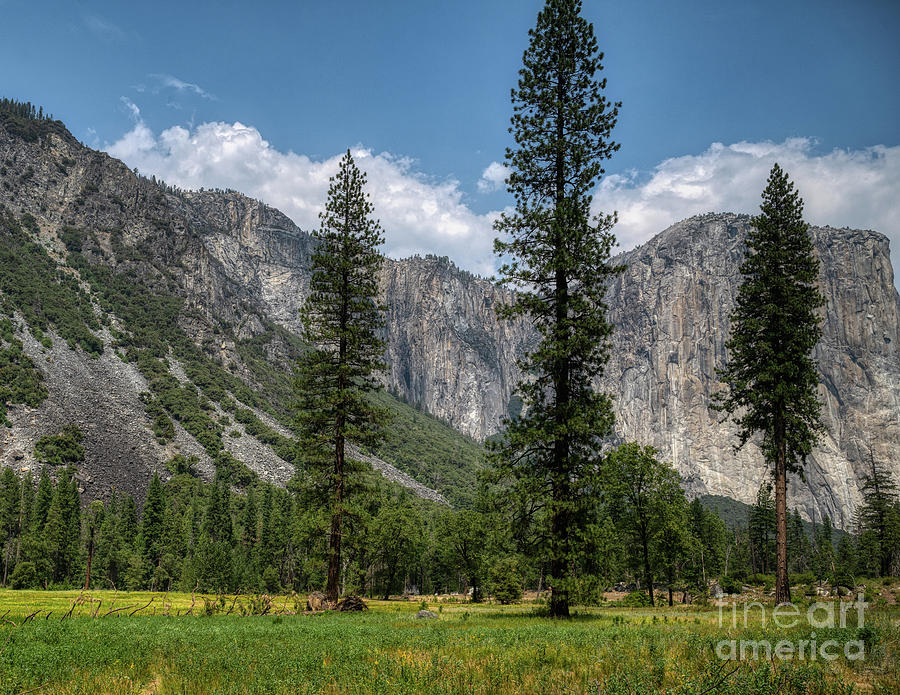 Yosemite Wilderness Views Photograph by Abigail Diane Photography