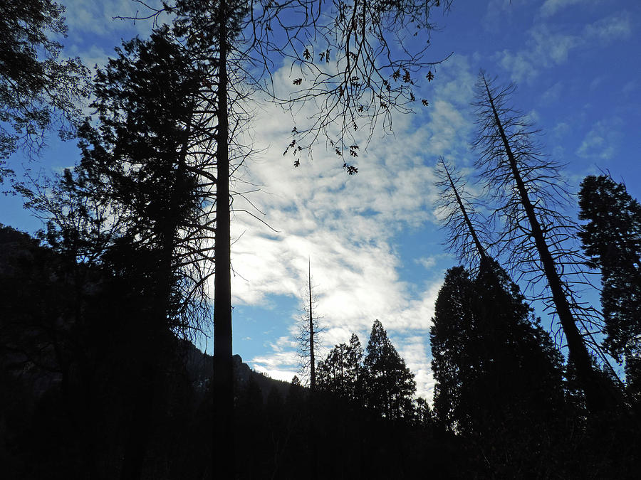 Yosemite Winter Sky Photograph